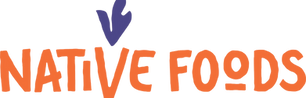 Native Foods Logo Orange